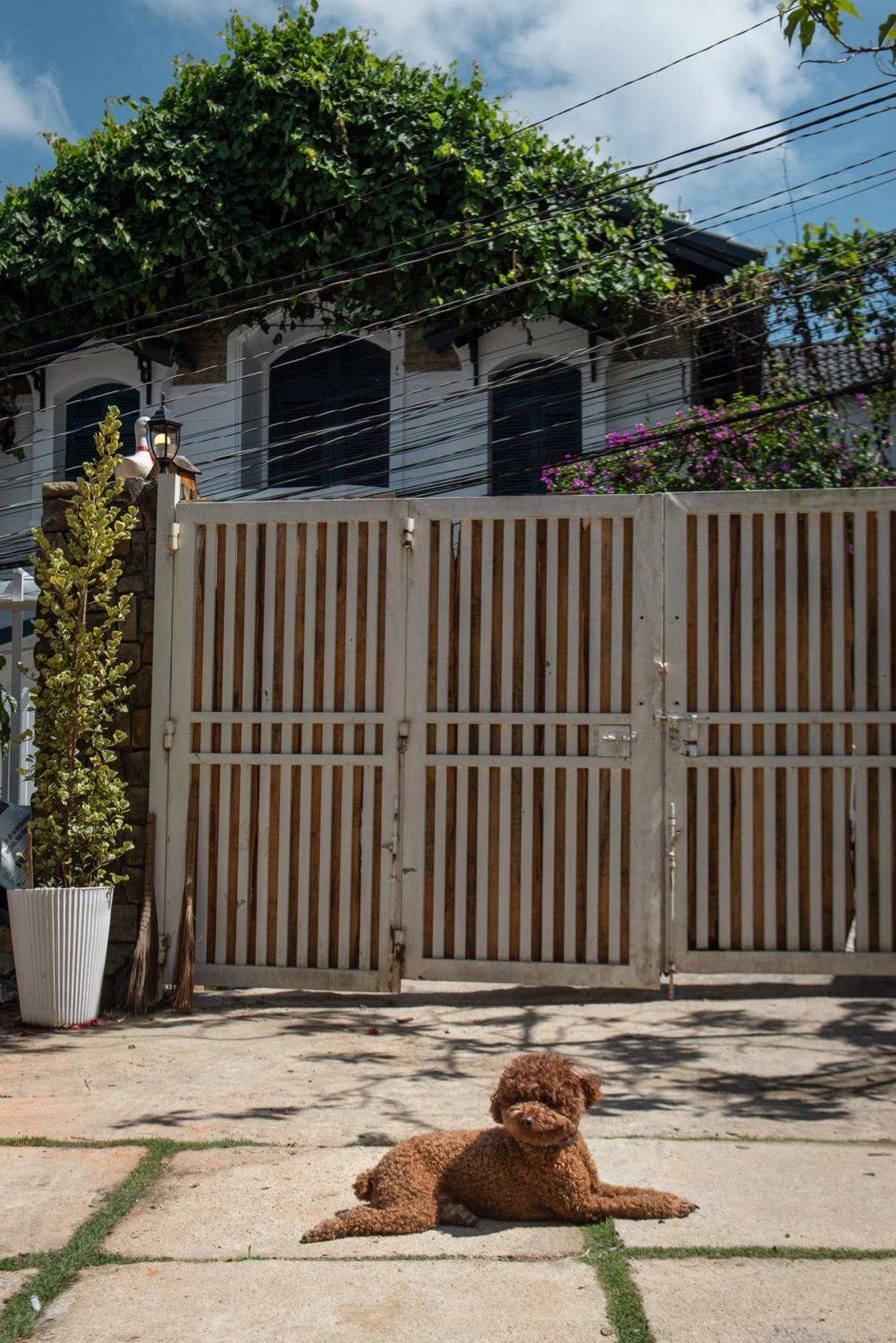 Chai Nho Homestay Đà Lạt Extérieur photo