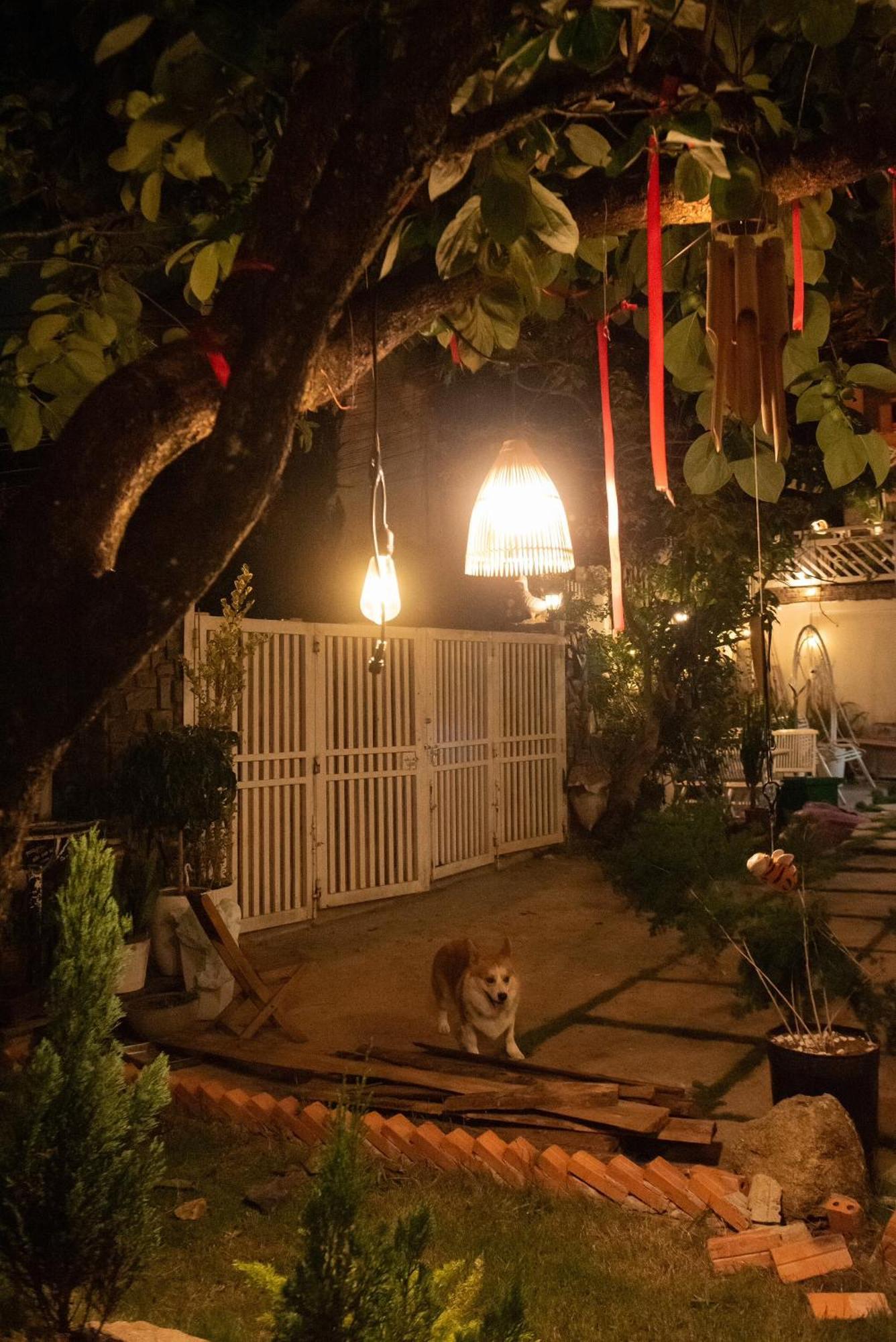 Chai Nho Homestay Đà Lạt Extérieur photo